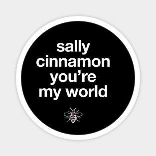 The Stone Roses Sally Cinnamon Digital Pixel Bee Magnet